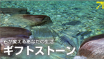 石が変えるあなたの生活